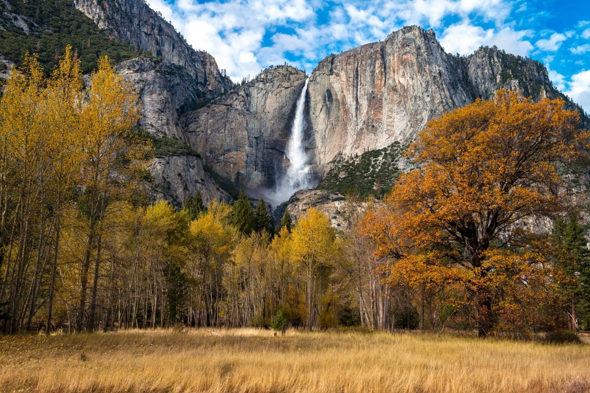High End A-Frame - Hot Tub - Awesome Views - Yosemite - Electric Vehicle Friendly - Sleeps 10 Villa Оукхърст Екстериор снимка